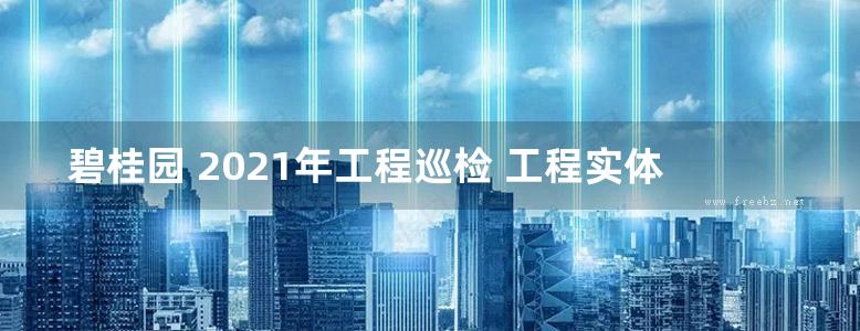 碧桂园 2021年工程巡检 工程实体质量操作指引V2.0版